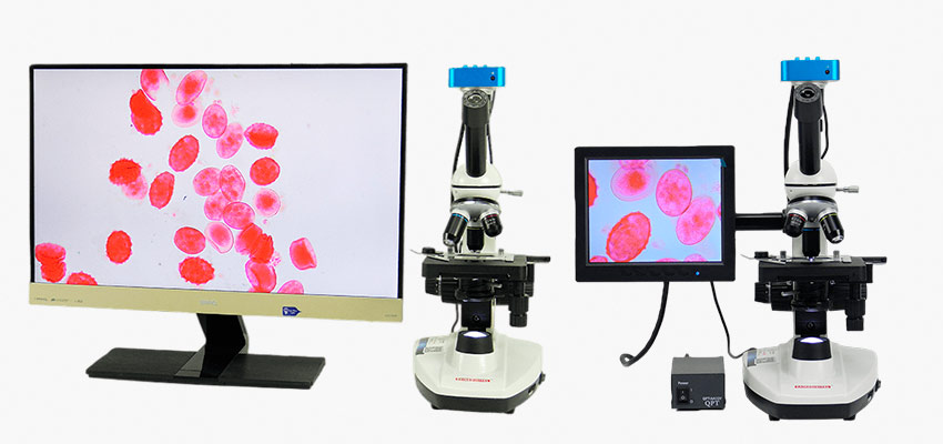 Микроскопы для исследований организмов с точной камерой