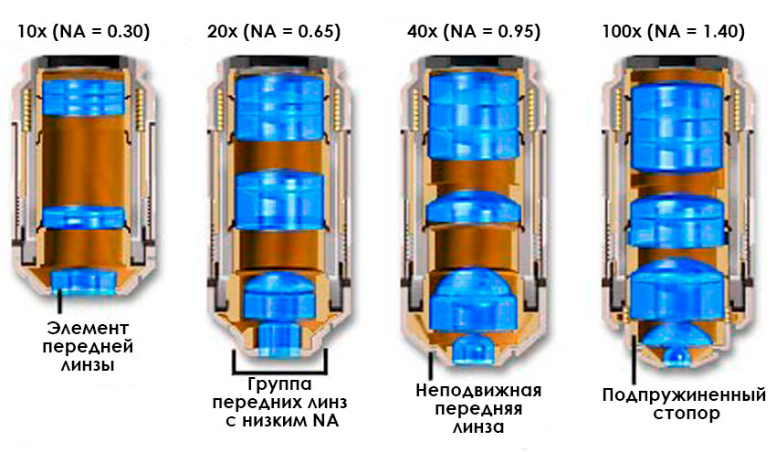 устройство объектива микроскопа