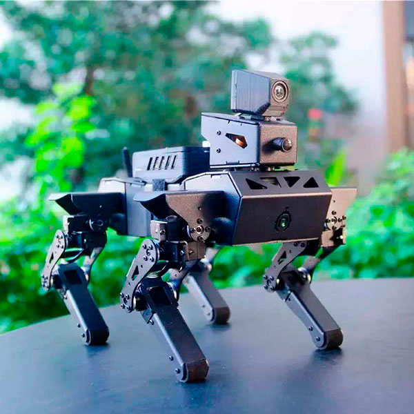 Купить робота в онлайн-магазине Суперайс