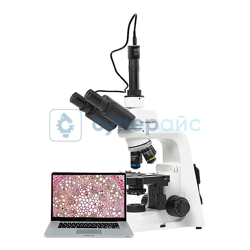 Биологический микроскоп Motic Stellar 1 Pro с электронным окуляром фото 1