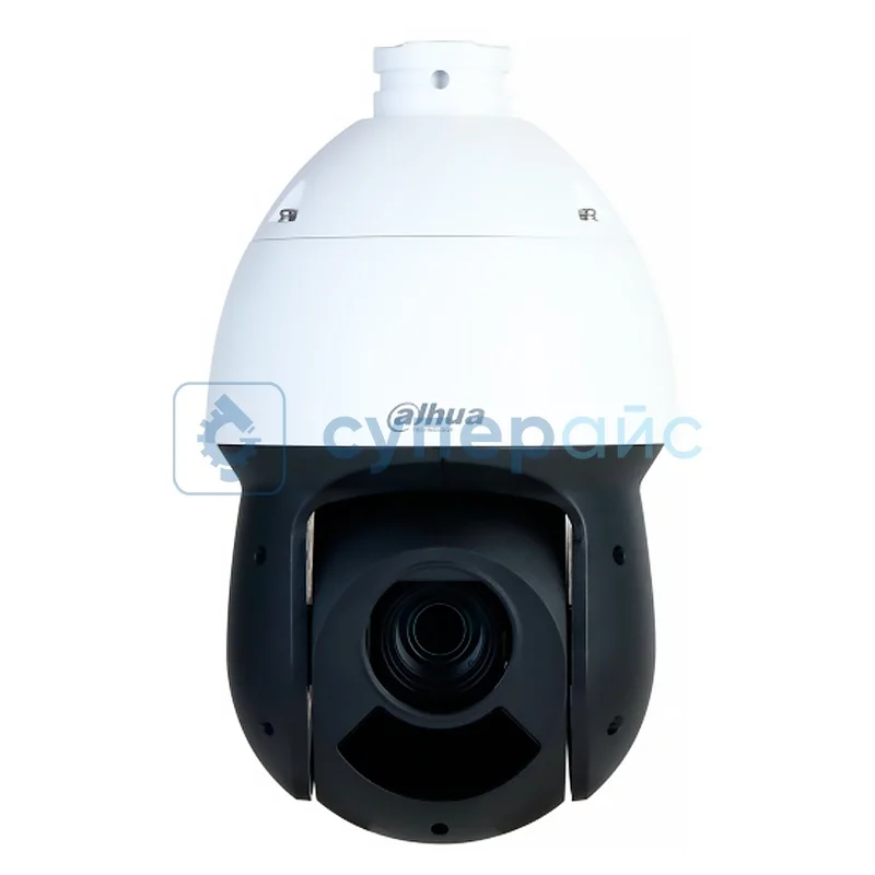 IP-камера Dahua DH-SD49225DB-HNY фото 1