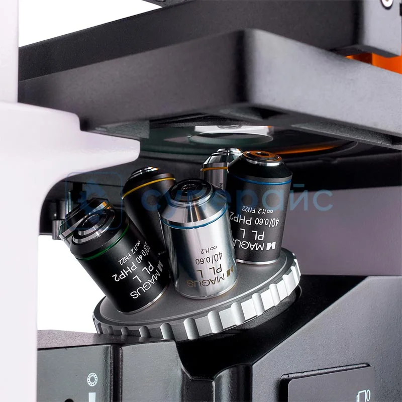 Инвертированный микроскоп c цифровым дисплеем MAGUS Lum VD500 LCD 83021 фото 4