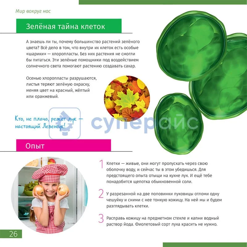 Микроскоп Levenhuk Discovery Atto Polar с книгой фото 12