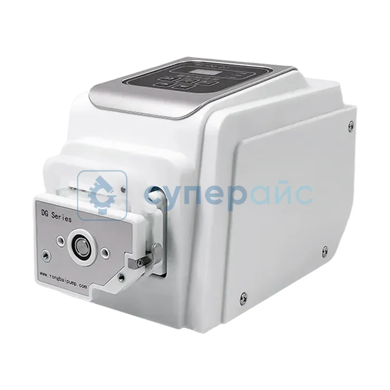 Насос роликовый Rongbai BT100-2J+DG-1(6) фото 1