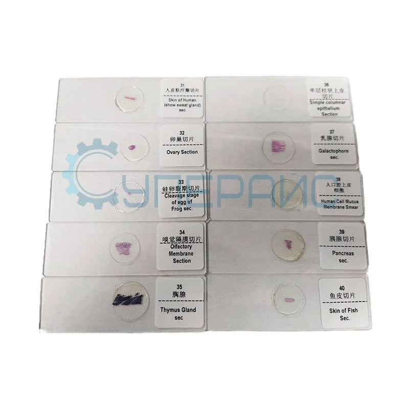 Набор готовых микропрепаратов для опытов SAGA (50 образцов) фото 1