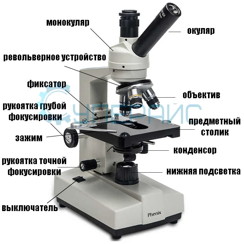 Учебный монокулярный микроскоп Phenix XSP-35 (2000x) фото 6
