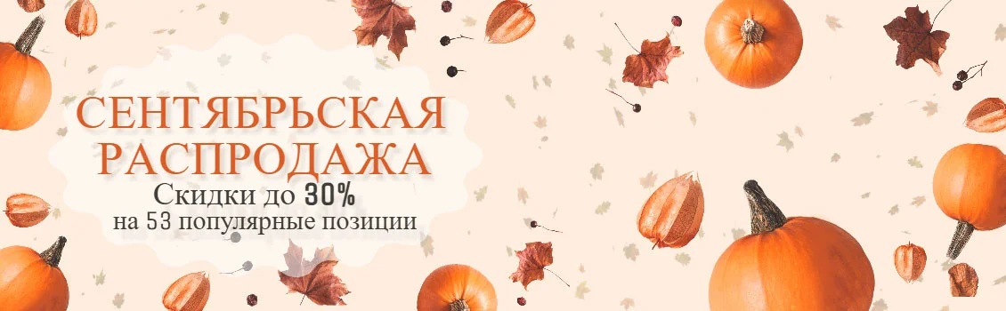 Сентябрьская распродажа: скидки до 30% на 53 популярные позиции