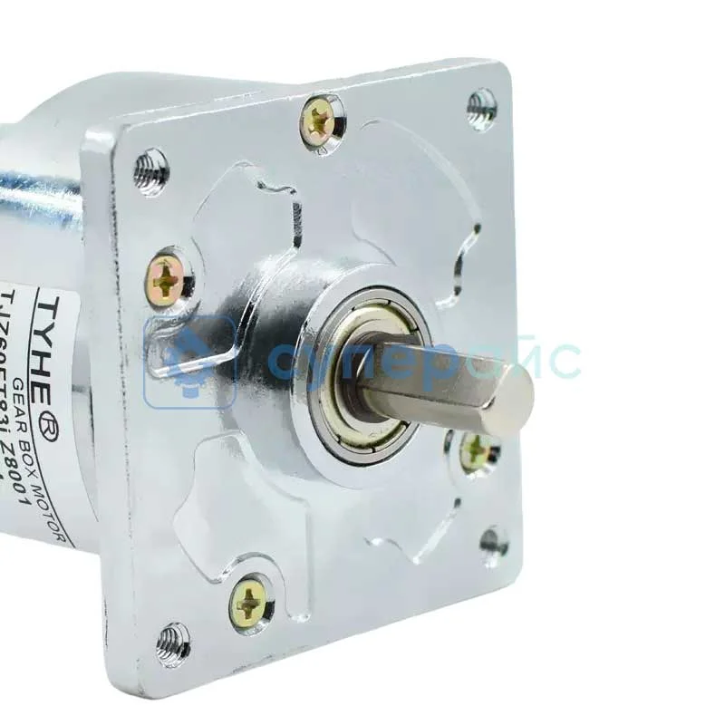 Шаговый двигатель TJZ60FT-12V20-Z8001 фото 1