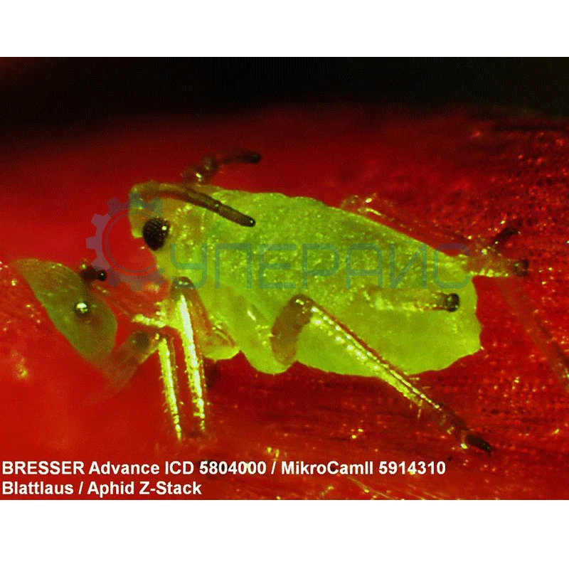 Микроскоп Bresser Advance ICD 10x–160x фото 12