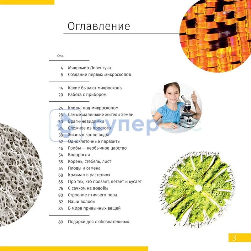 Микроскоп Levenhuk Discovery Atto Polar с книгой фото 11