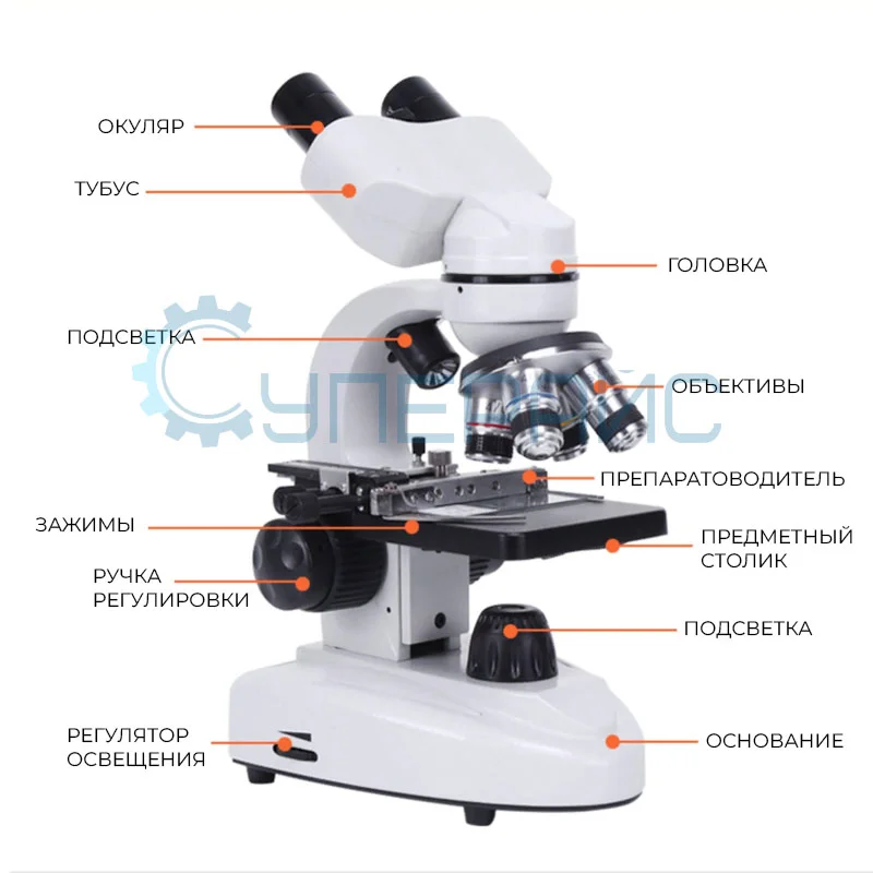 Учебный бинокулярный микроскоп Damingzhi (3000х) фото 8