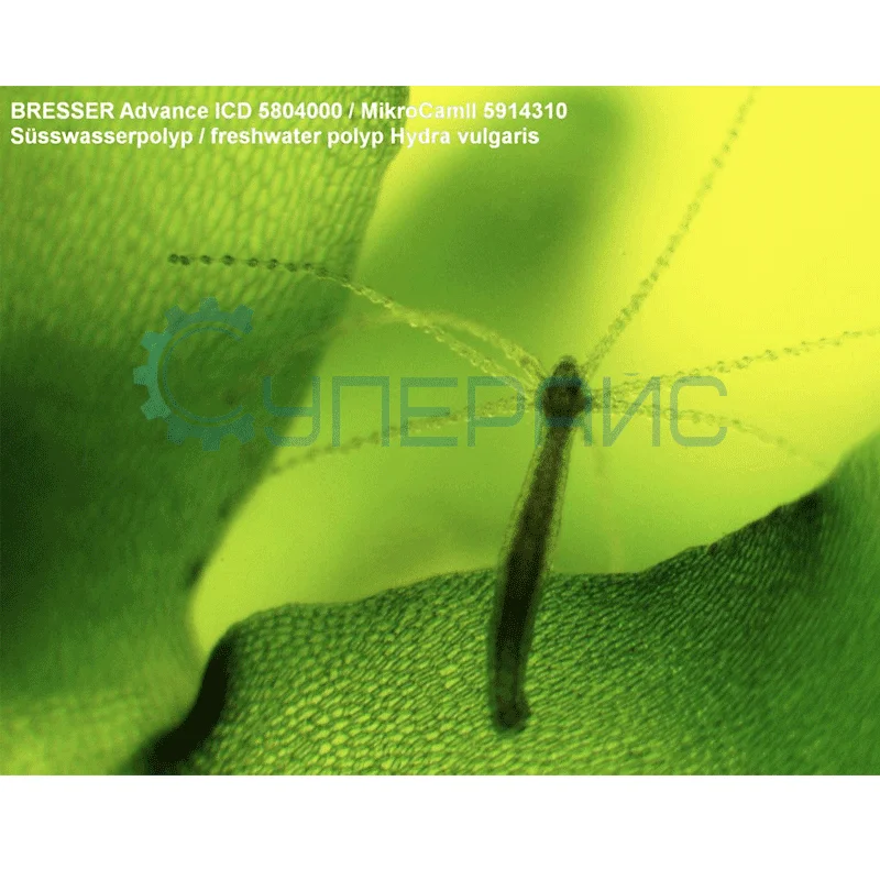 Микроскоп Bresser Advance ICD 10x–160x фото 13