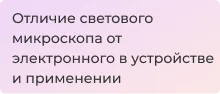 Световой и электронный микроскоп: отличия