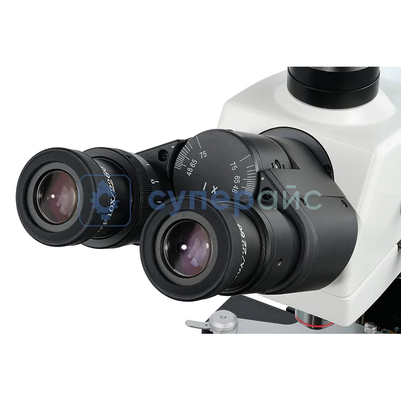 Лабораторный бинокулярный микроскоп Levenhuk MED 40B фото 6