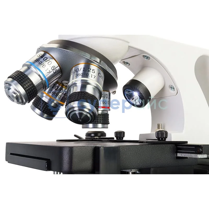 Микроскоп Levenhuk Discovery Atto Polar с книгой фото 6