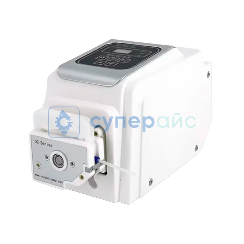 Насос роликовый Rongbai BT100-2J+DG-1(6) фото 1