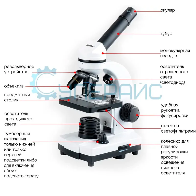 Учебный микроскоп SAGA XSP-000 80x–1600x с адаптером для смартфона и набором для опытов фото 3
