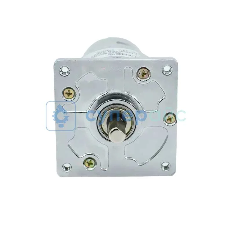 Шаговый двигатель TJZ60FT-12V20-Z8001 фото 2