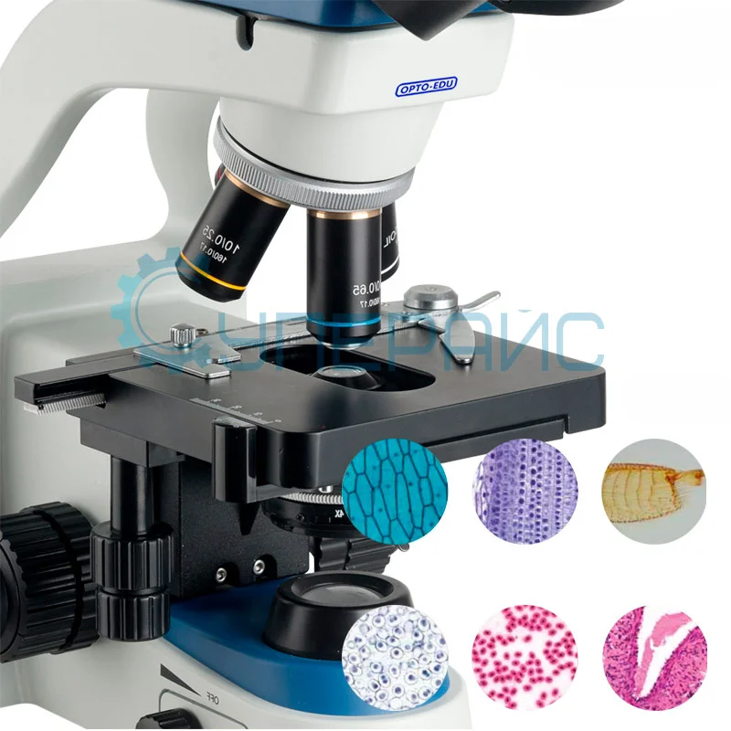 Биологический микроскоп Opto-Edu A11.0913-PT фото 1