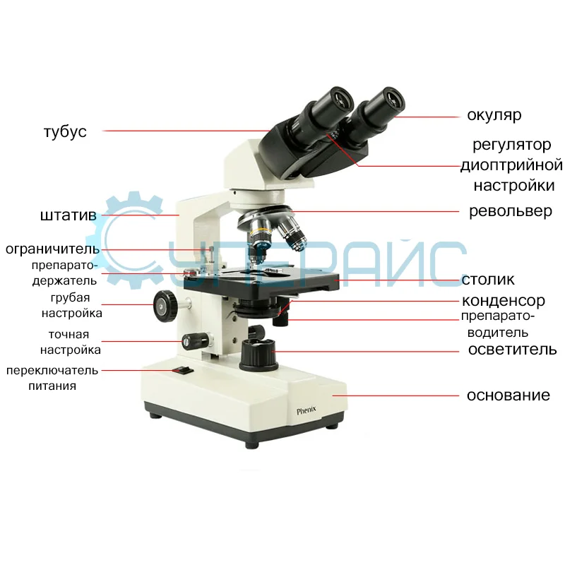 Бинокулярный микроскоп Phenix XSP-36 (1600x) фото 3