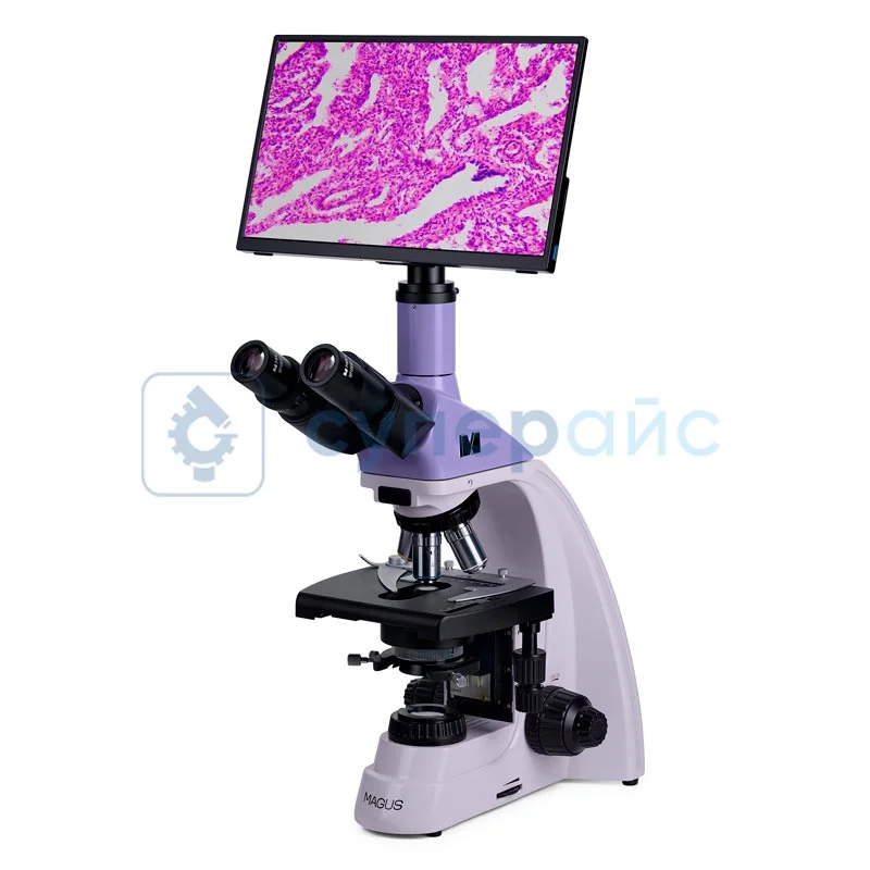 Микроскоп MAGUS Bio D250T LCD 83009 с цифровым дисплеем фото 2