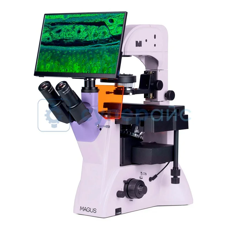 Флуоресцентный микроскоп с цифровым дисплеем MAGUS Lum VD500L LCD 83023 фото 2