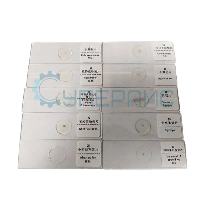 Набор готовых микропрепаратов для опытов SAGA (50 образцов) фото 2