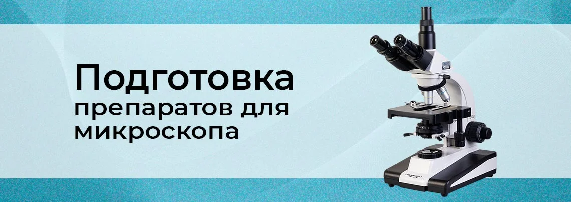 Подготовка препаратов для микроскопа своими руками баннер
