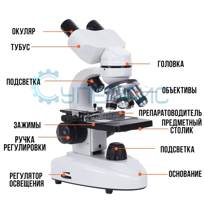 Микроскоп Damingzhi (3000х) c видеоокуляром 1 Мп фото 2