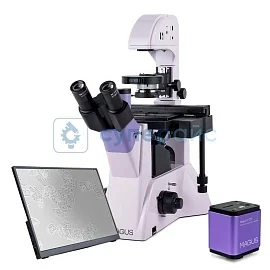 Микроскоп с цифровой камерой MAGUS Bio VD350 LCD 83015 фото