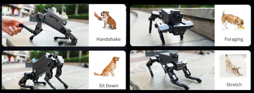 Функционал робота Yahboom 12DOF DOGZILLA S1 собака робот команды