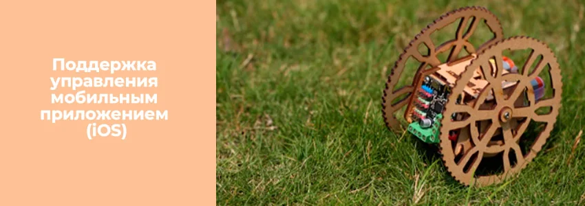 двухколесный