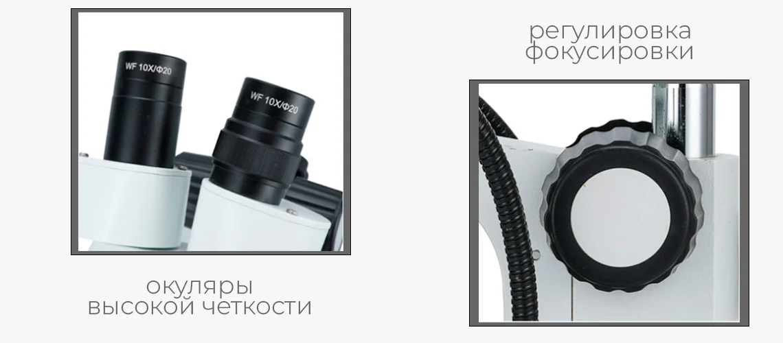 микроскоп 20 крат