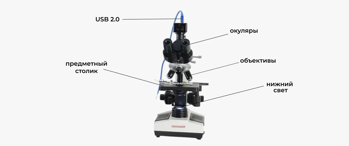 Пример вывода изображения Saike Digital SK2009H2 Лабораторный микроскоп Saike Digital SK2009H2 купить в Суперайс