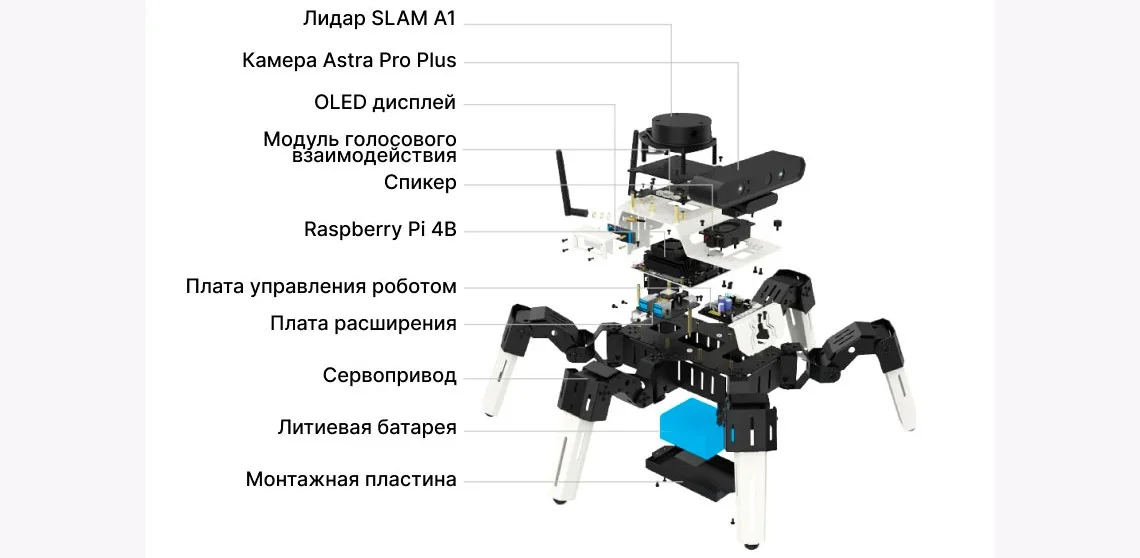 Робот Yahboom 18DOF Muto RS Hexapod купить в Суперайс