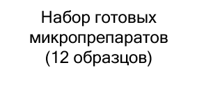 набор микропрепаратов 12 штук к 1 сентября купить в суперайс