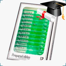 Набор готовых микропрепаратов Растения (12 образцов) купить в суперайс по низкой цене