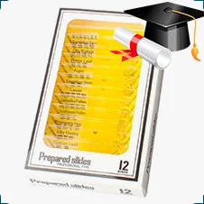 Набор готовых микропрепаратов Декоративные растения (12 образцов) купить в суперайс по низкой цене