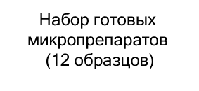 Набор готовых микропрепаратов (12 образцов) купить со скидкой в суперайс