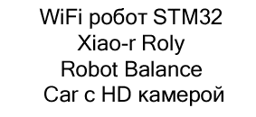 WiFi робот STM32 Xiao-r Roly Robot Balance Car купить микроскоп в суперайс