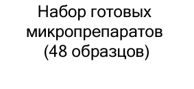 Набор готовых микропрепаратов купить в суперайс по невысокой цене