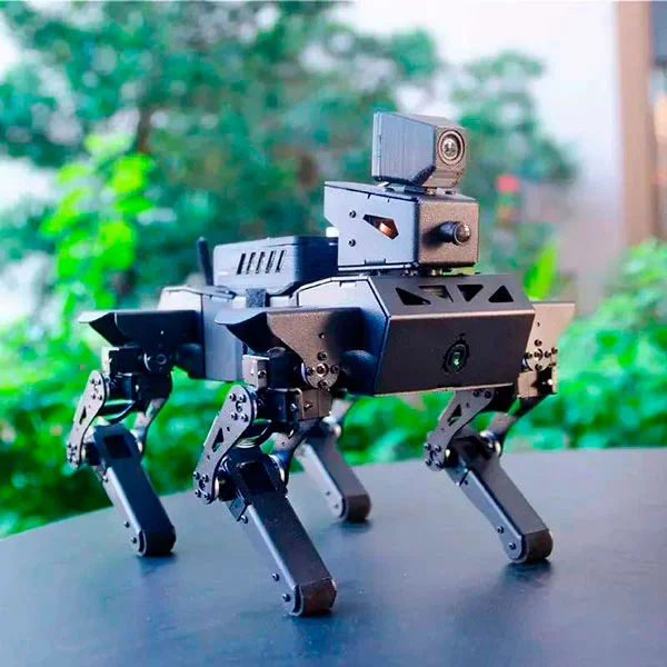 Купить робота в онлайн-магазине Суперайс