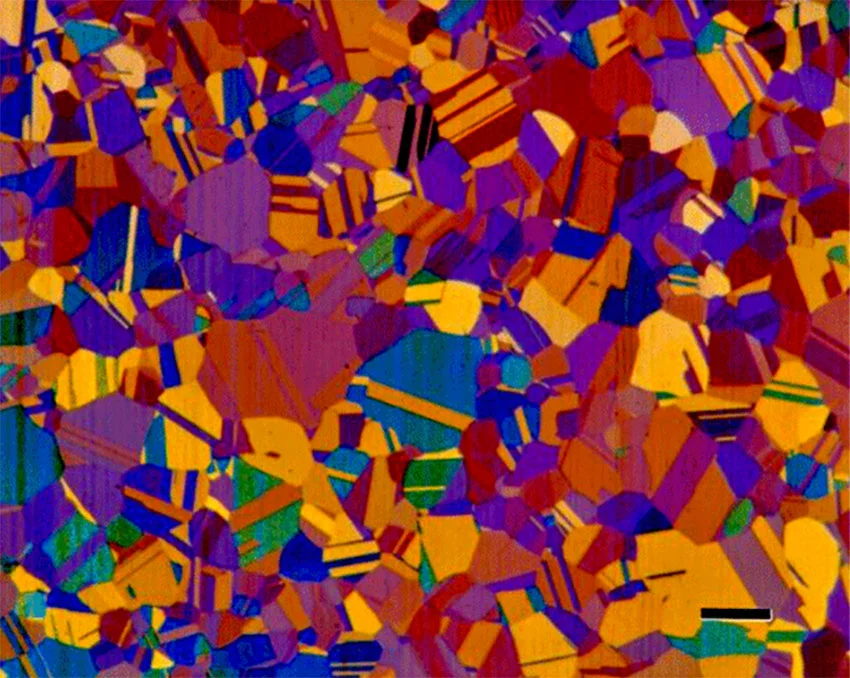 заказать микроскоп в Суперайс