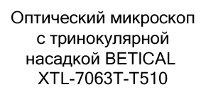 BETICAL XTL-7063T-T510 BETICAL XTL-7063T-T510