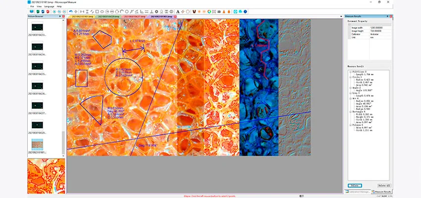 Примеры камер для микроскопов