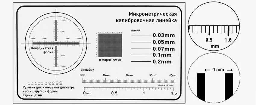 Микрометрическая калибровочная линейка с примерами ее отображения в поле зрения