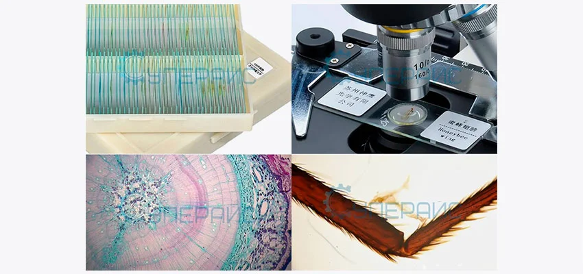 Микропрепараты с образцами для составного микроскопа