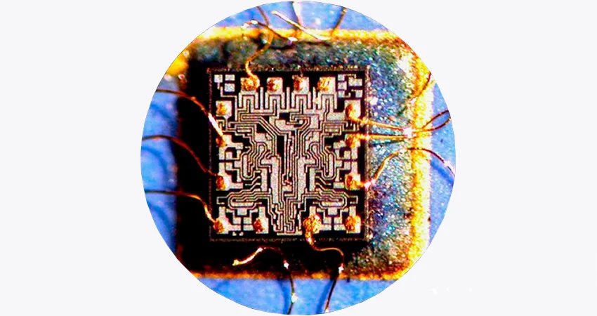 Виды микроскопов