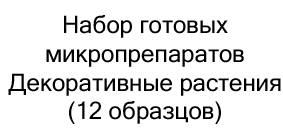 набор готовых микропрепаратов для детей купить в суперайс