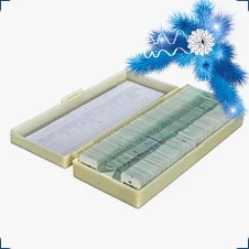 набор готовых микропрепаратов на новый 2021 год в суперайс